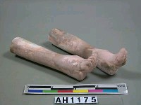 藏品(纏足模型)的圖片